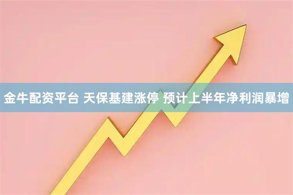 金牛配资平台 天保基建涨停 预计上半年净利润暴增