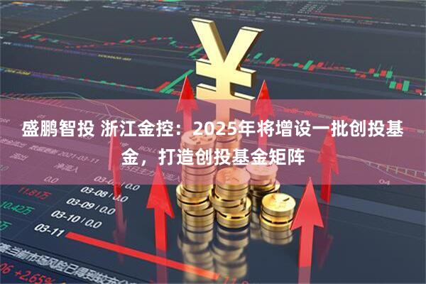 盛鹏智投 浙江金控:2025年将增设一批创投基金,打造创投基金矩阵