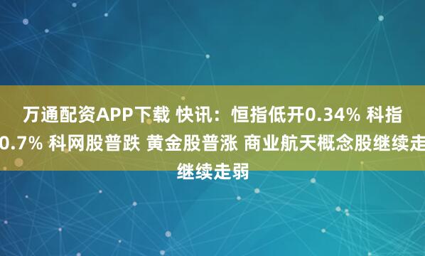 万通配资APP下载 快讯：恒指低开0.34% 科指跌0.7% 科网股普跌 黄金股普涨 商业航天概念股继续走弱